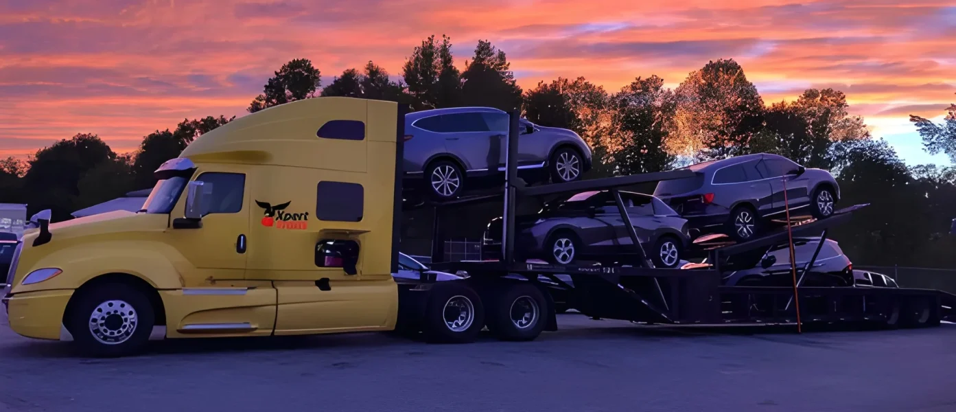 Multi vehicle transport case study by Xpert Trans