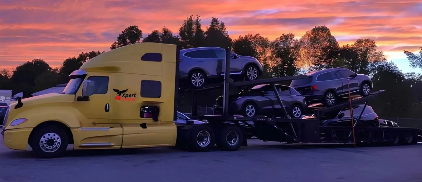 7_car_transported2